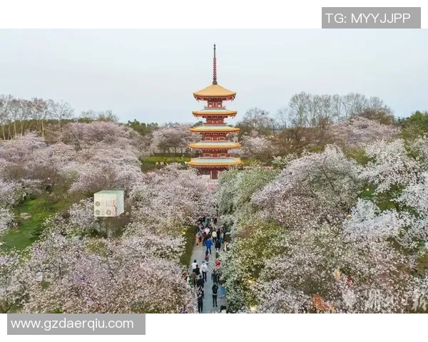 武汉旅游必去景点推荐探索这座城市的文化魅力与美丽风光 武汉旅游必去景点推荐探索这座城市的文化魅力与美丽风光