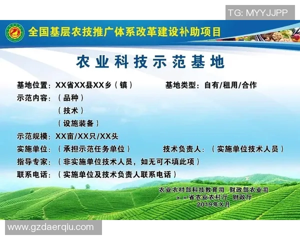 竞技体操评分体系解析与改进建议 探讨公平性与技术标准的优化路径 竞技体操评分体系解析与改进建议 探讨公平性与技术标准的优化路径