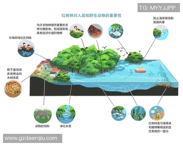 生态优先发展模式探索与实践：实现人与自然和谐共生的可持续路径